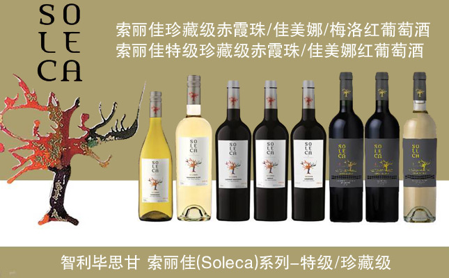 索麗佳珍藏赤霞珠紅葡萄酒 索麗佳珍藏赤霞珠紅葡萄酒